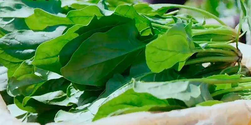 image_food</div